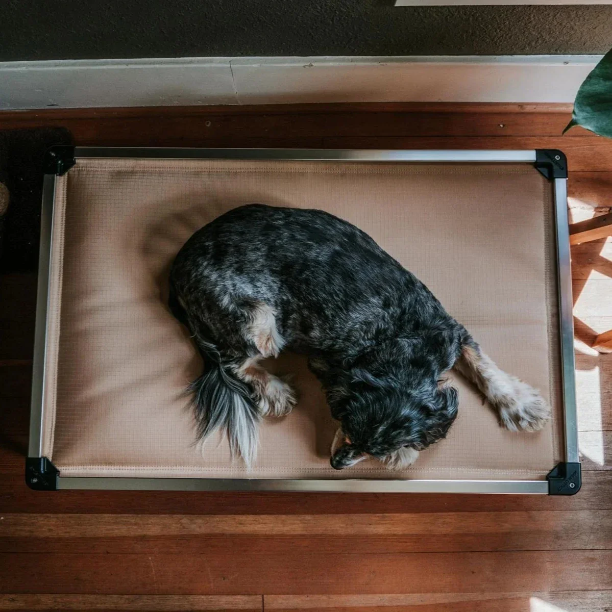 Chew Proof Armored™ Padded Dog Crate Bed - Open Box - Image 17