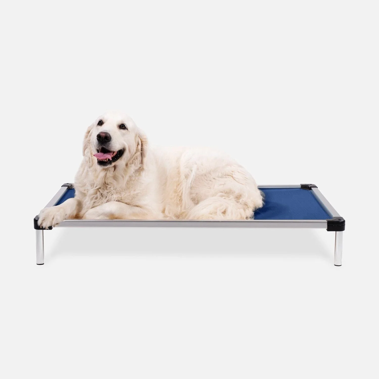 Chew Proof Armored™ Ripstop Elevated Dog Bed - Image 12