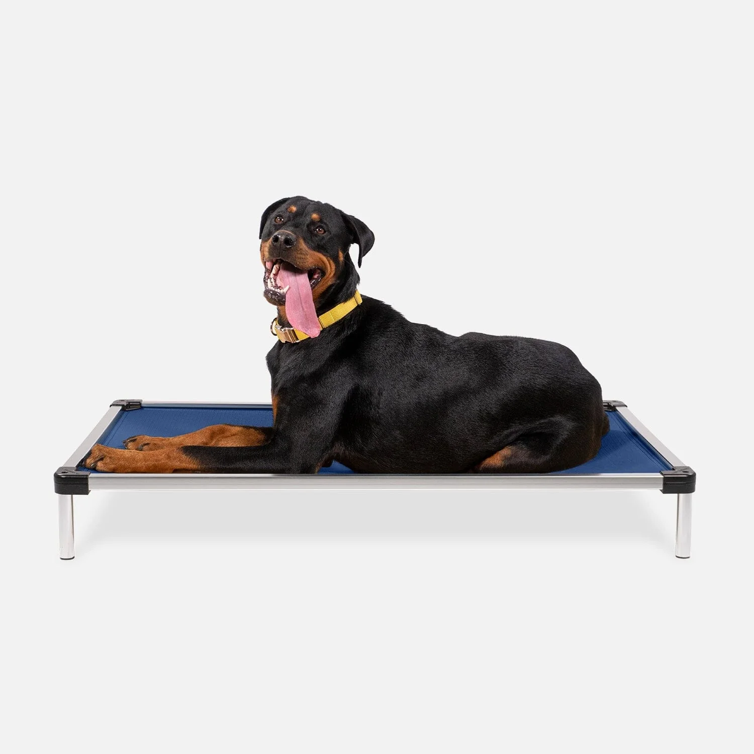 Chew Proof Armored™ Ripstop Elevated Dog Bed - Image 13