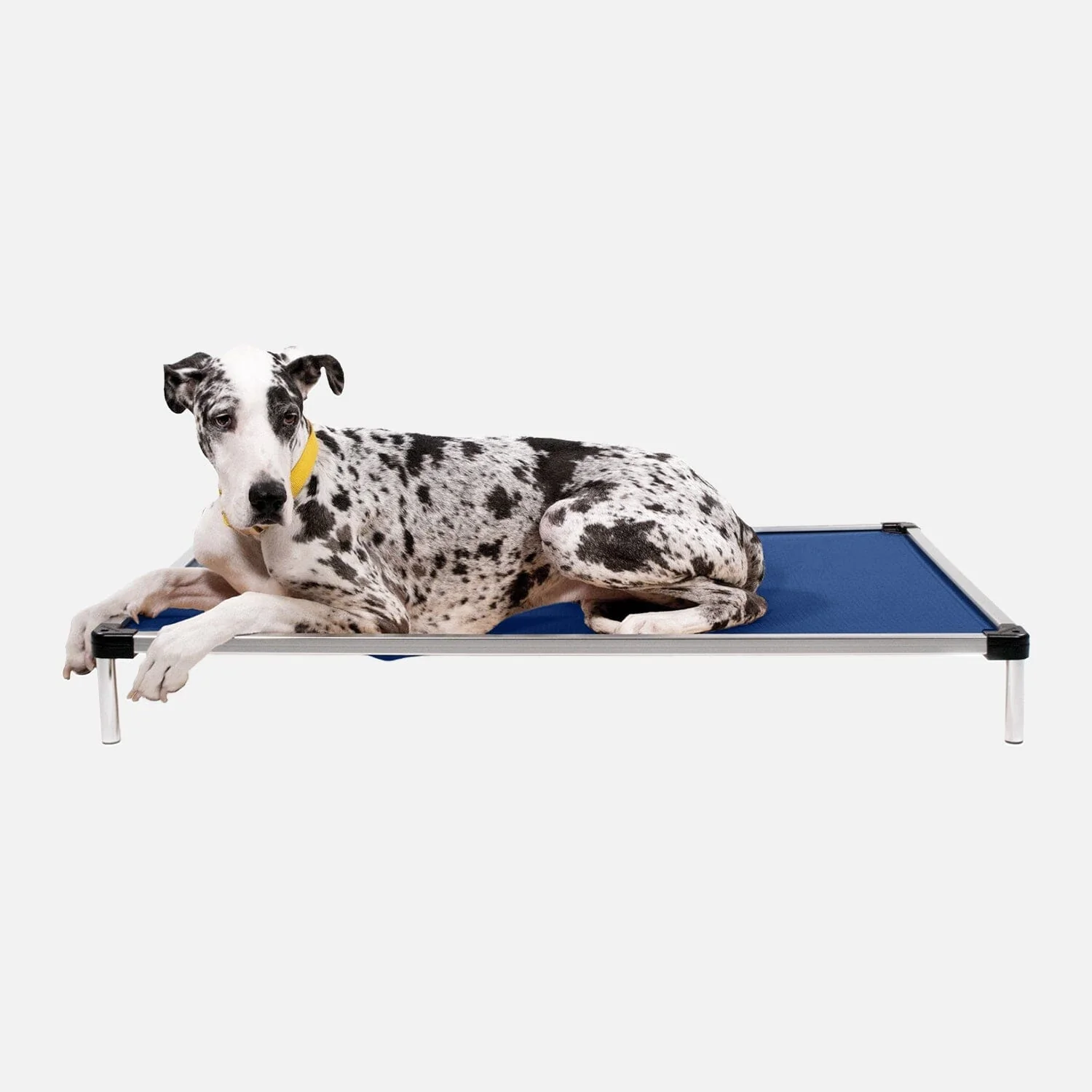 Chew Proof Armored™ Ripstop Elevated Dog Bed - Image 14