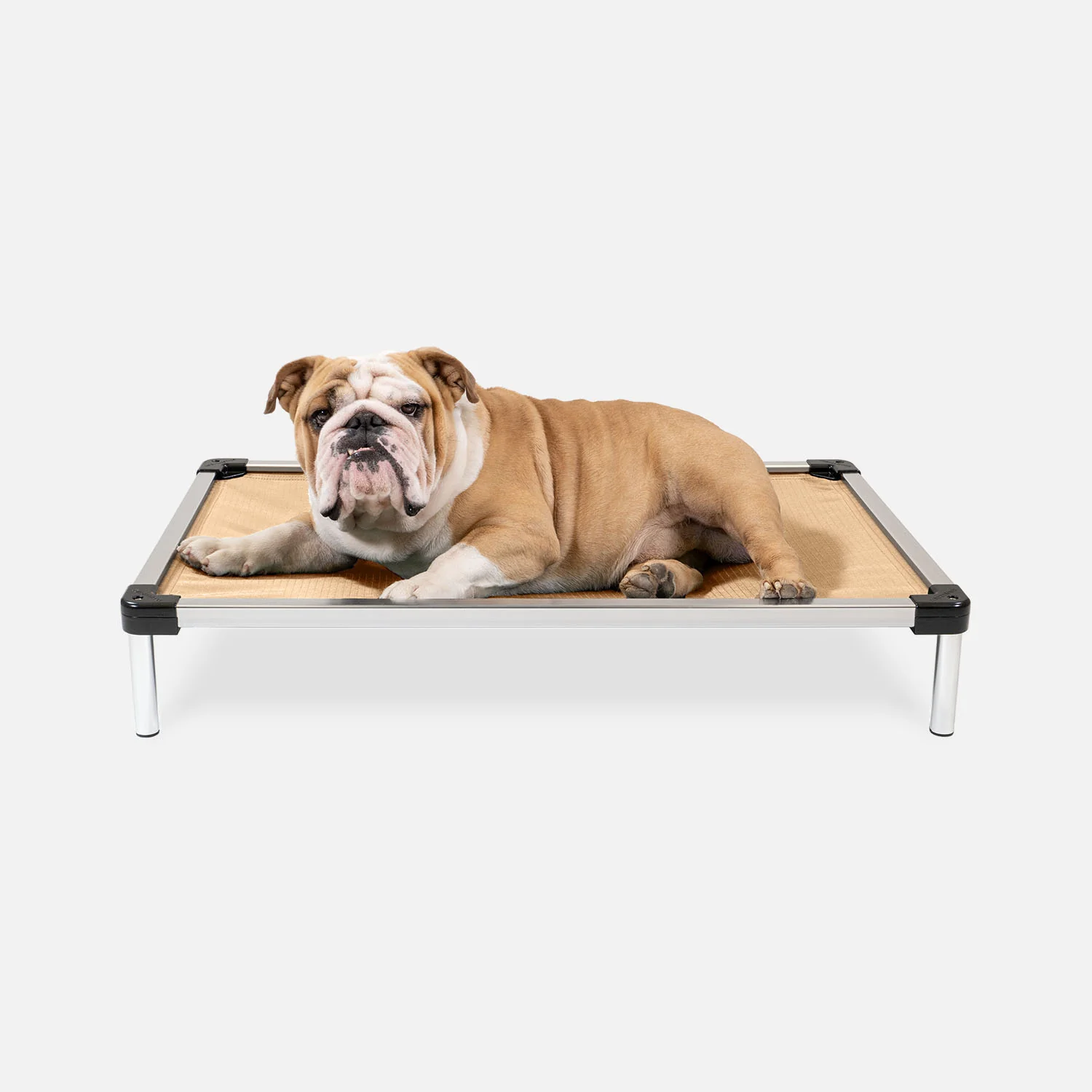 Chew Proof Armored™ Ripstop Elevated Dog Bed - Image 16