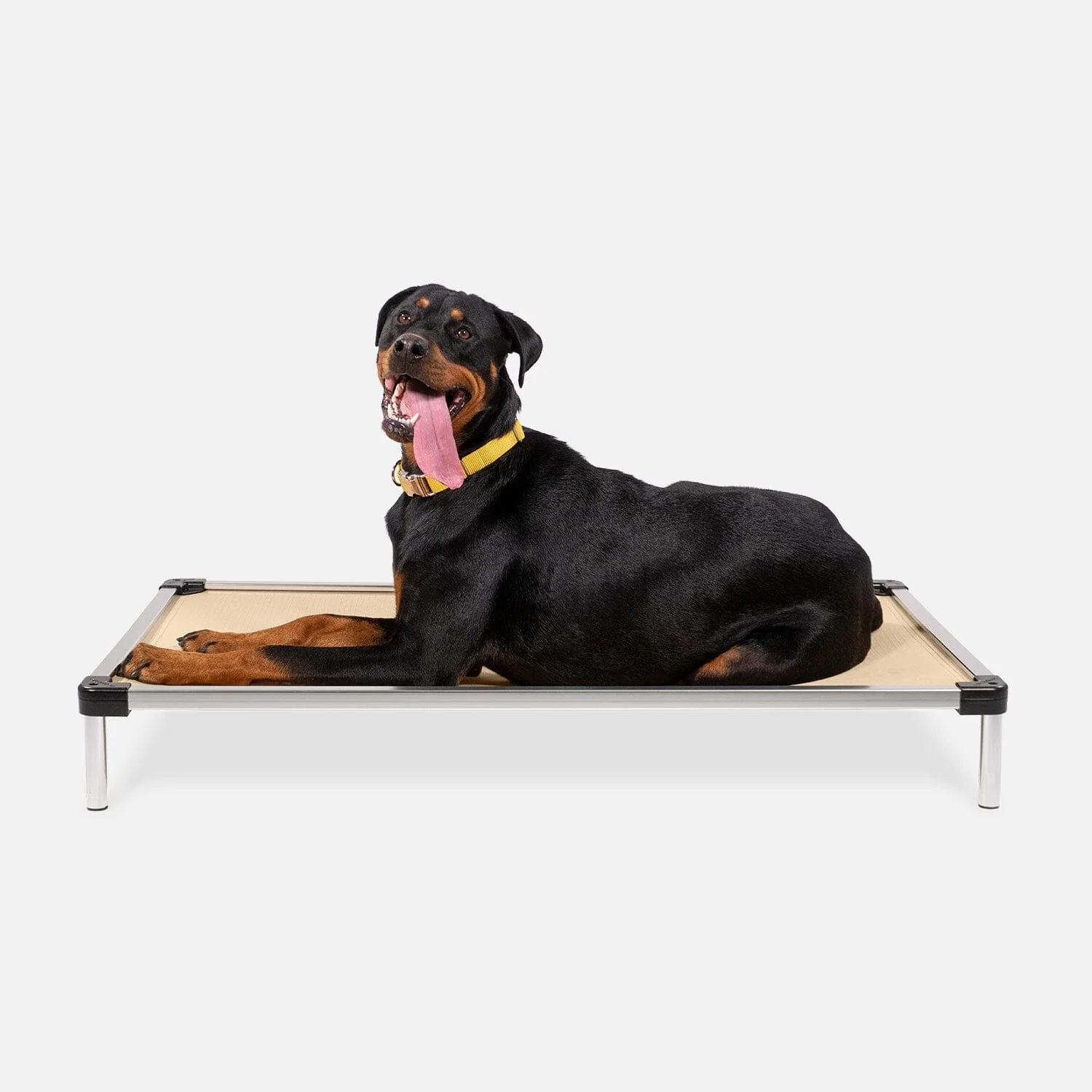 Chew Proof Armored™ Ripstop Elevated Dog Bed - Image 18