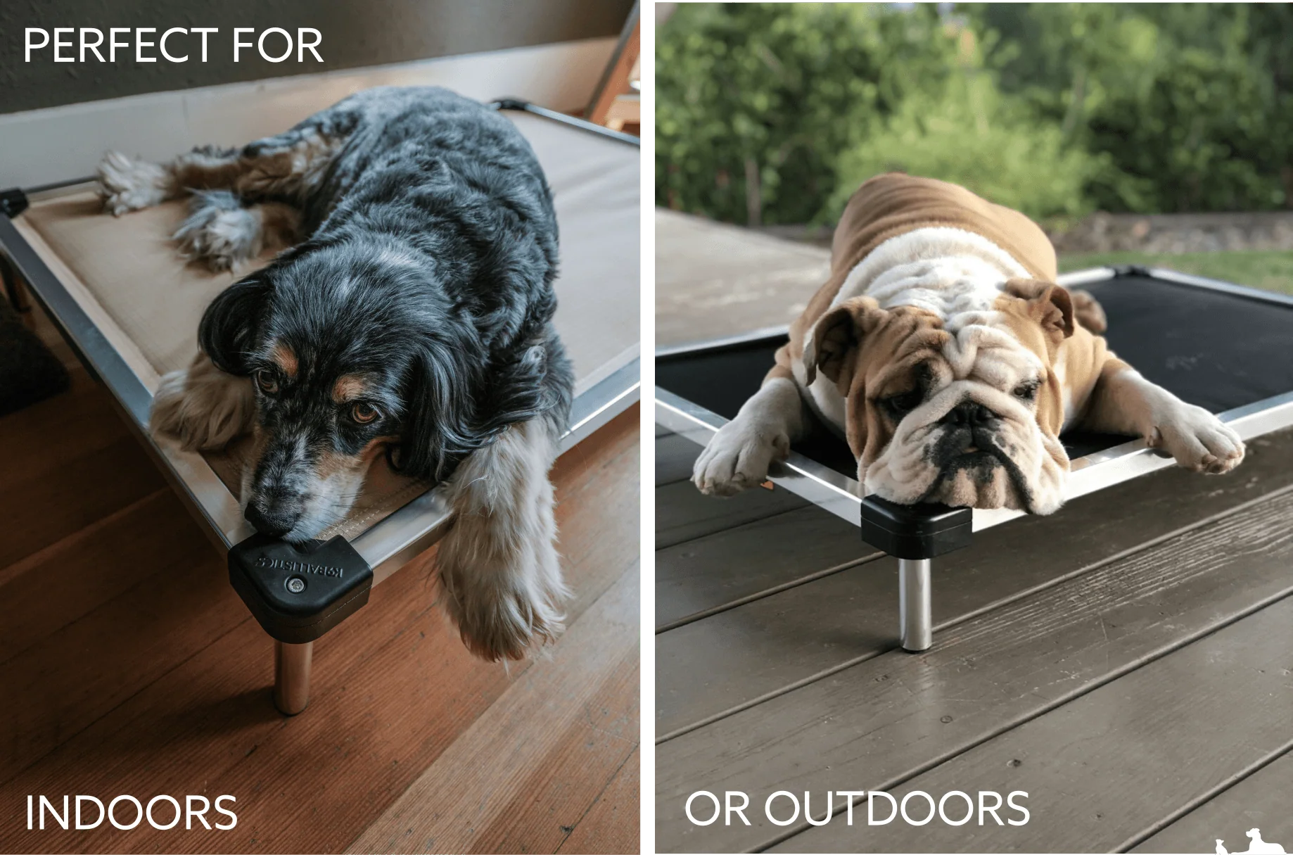 Chew Proof Armored™ Ripstop Elevated Dog Bed - Image 23