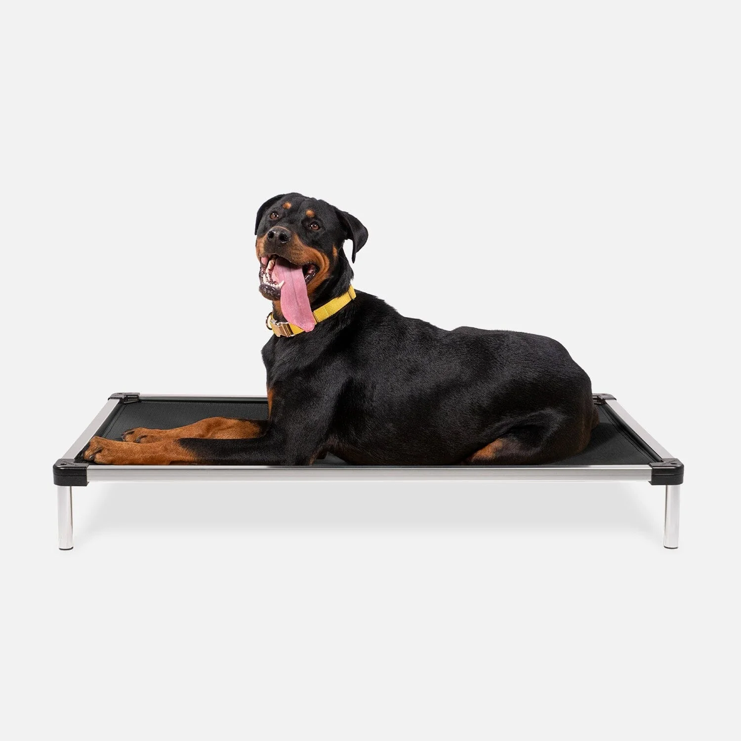 Chew Proof Armored™ Ripstop Elevated Dog Bed - Image 4