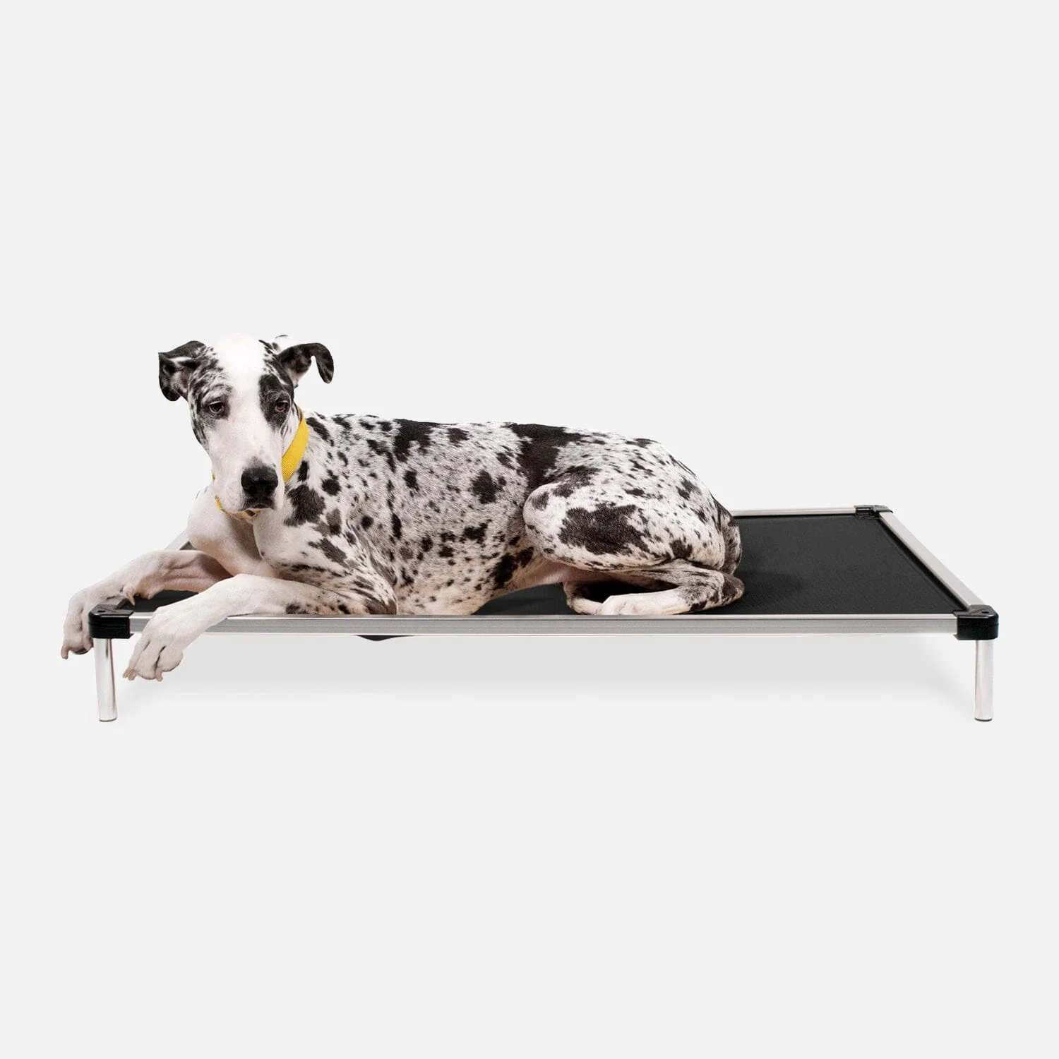 Chew Proof Armored™ Ripstop Elevated Dog Bed - Image 5