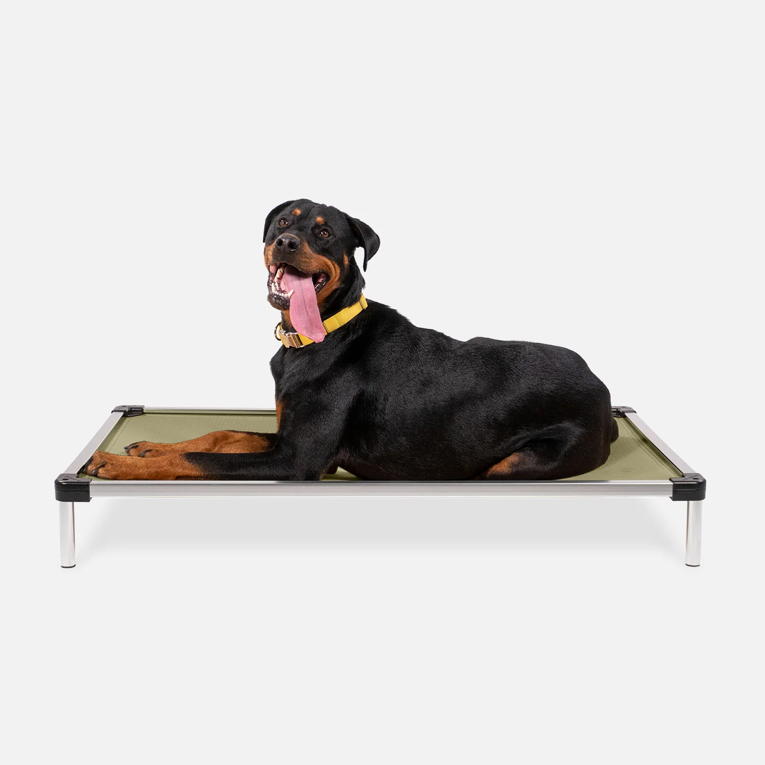Chew Proof Armored™ Ripstop Elevated Dog Bed - Image 8