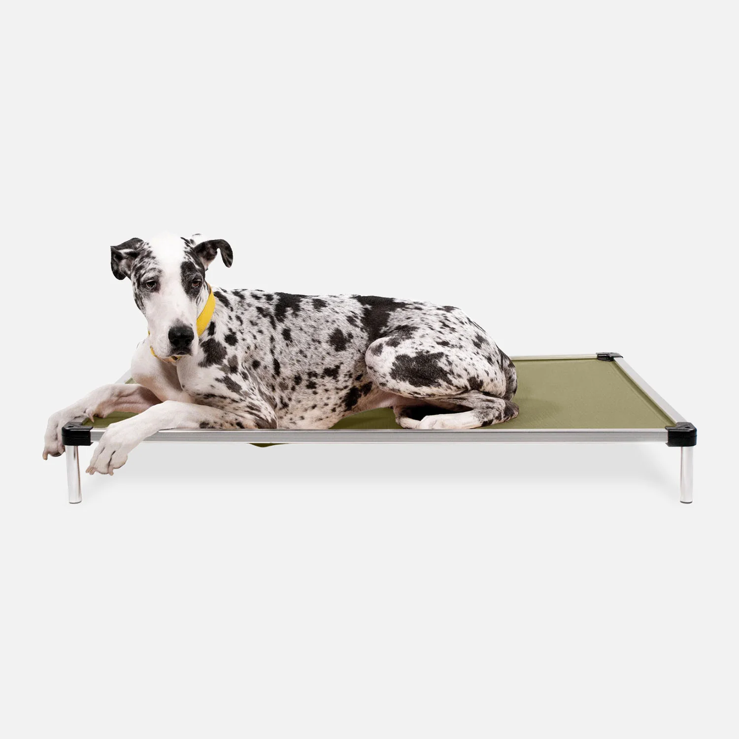 Chew Proof Armored™ Ripstop Elevated Dog Bed - Image 9