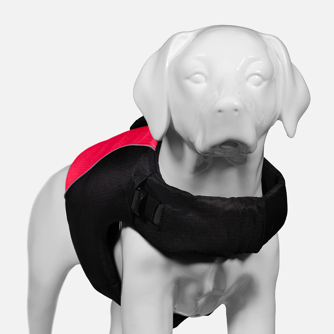 K9 Adventure™ Dog Life Jacket - Image 4