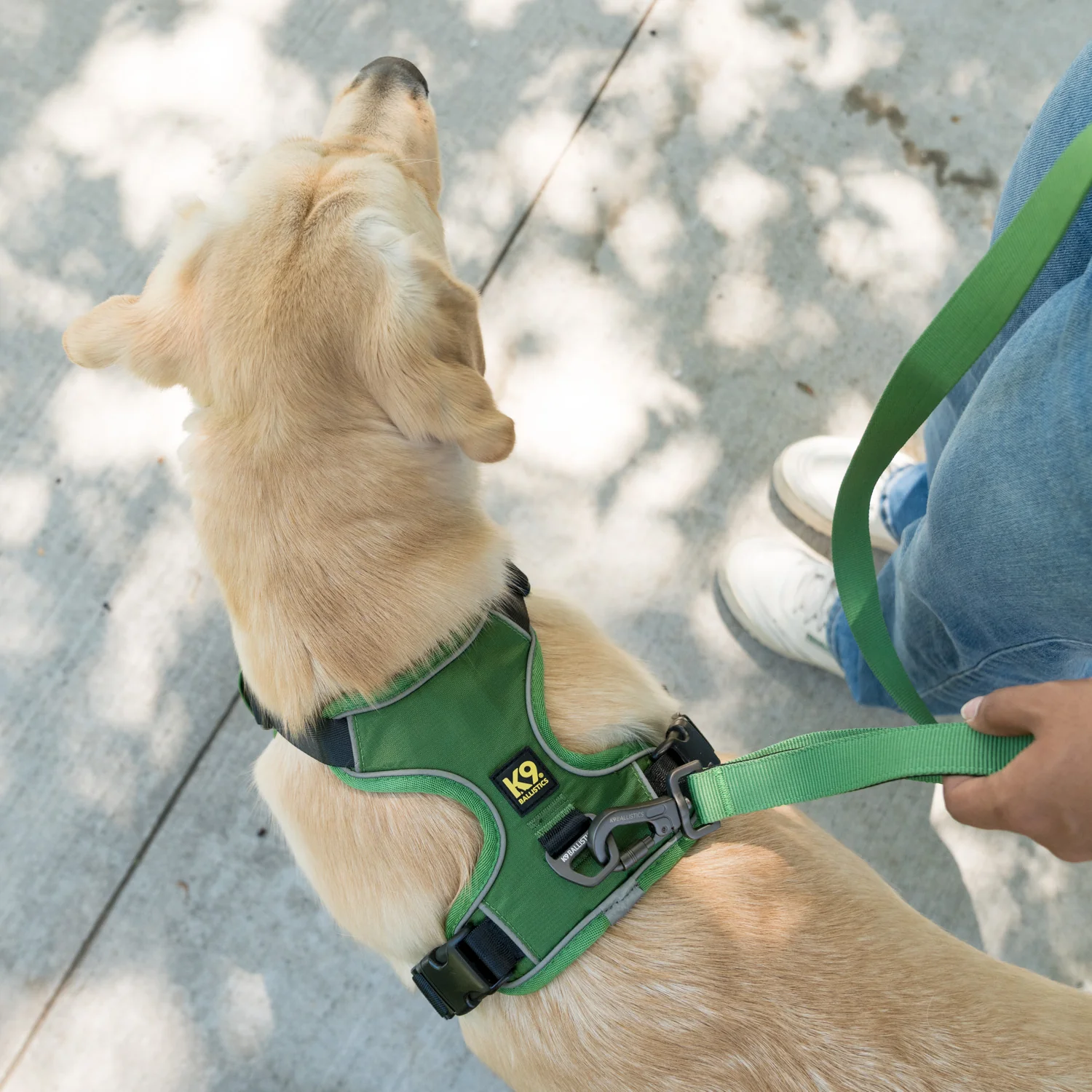 K9 Everyday™ Dog Harness - Image 3