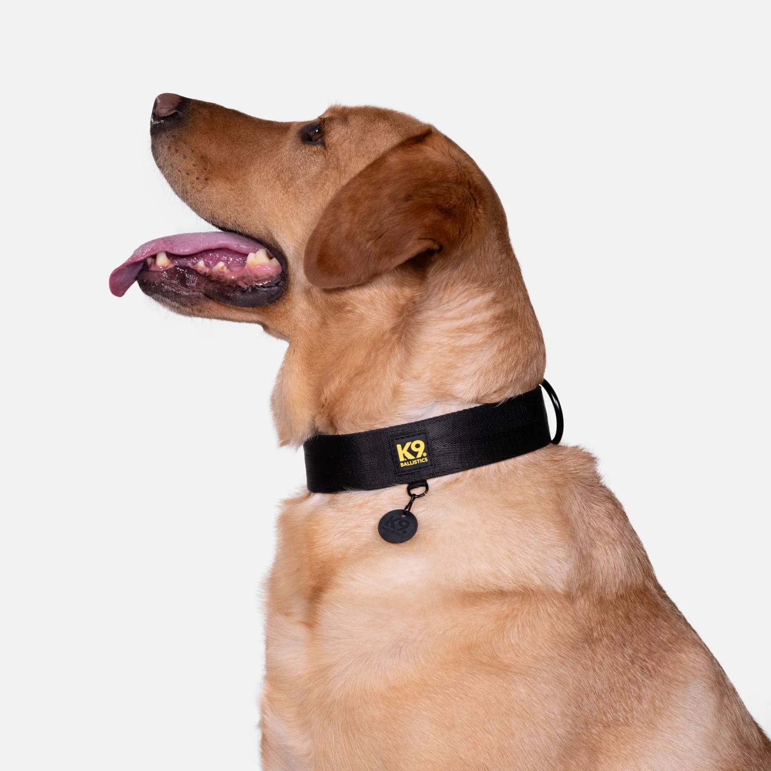 K9 Pro™ Dog Collar - Image 3