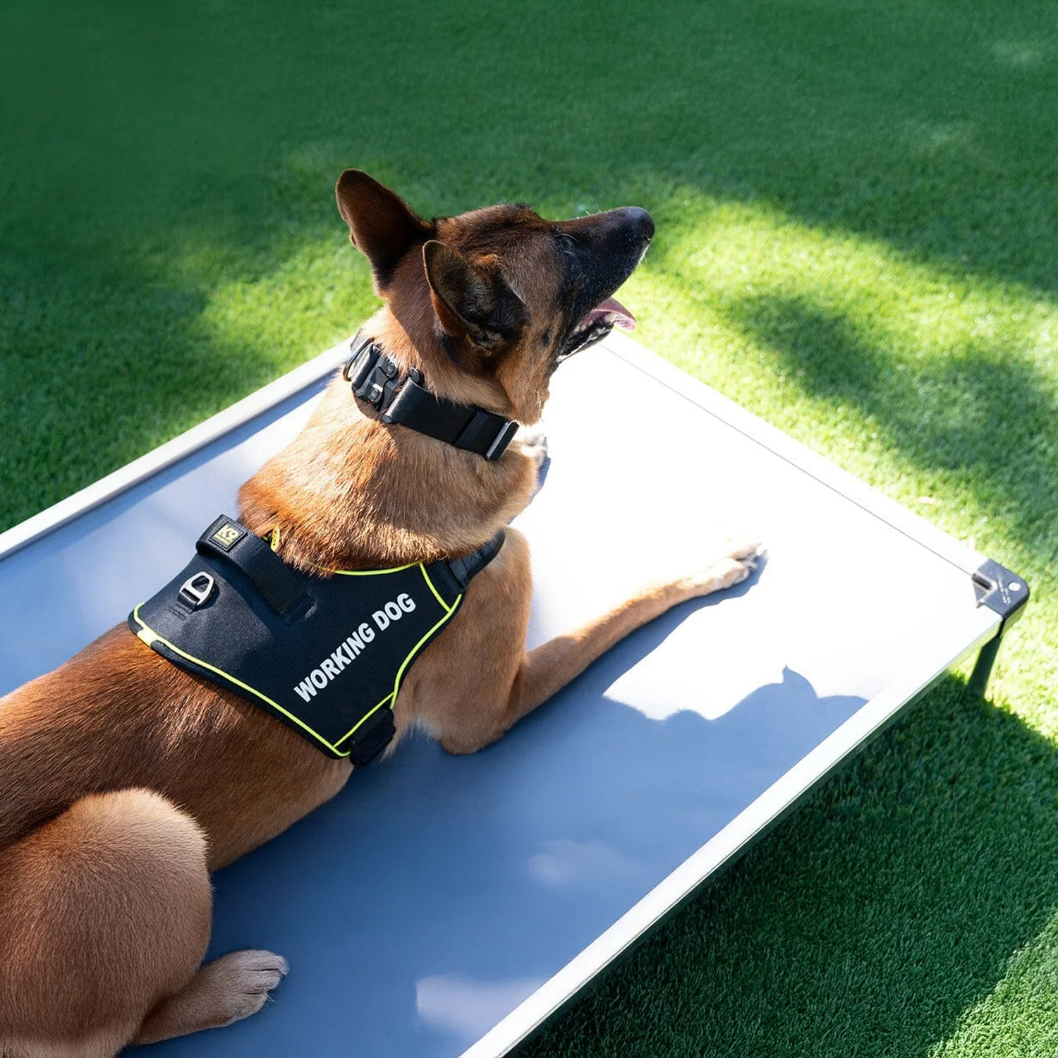 K9 Pro⢠Dog Harness - Image 2