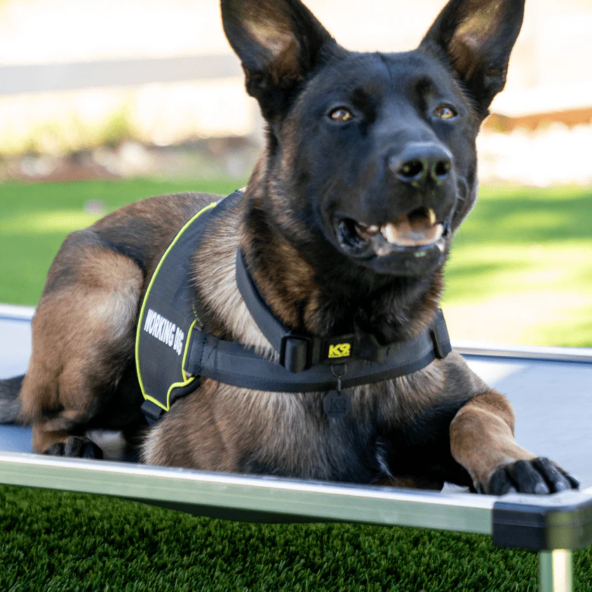 K9 Pro⢠Dog Harness - Image 3