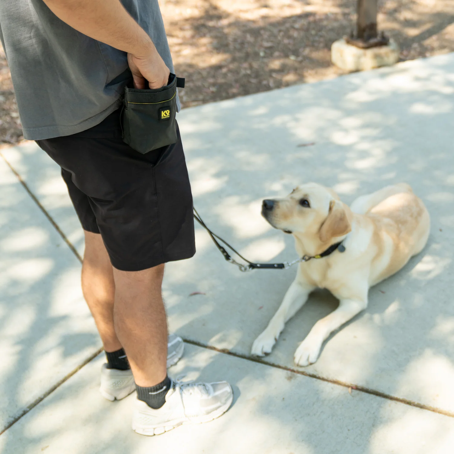 K9 Training⢠Treat Pouch - Image 2