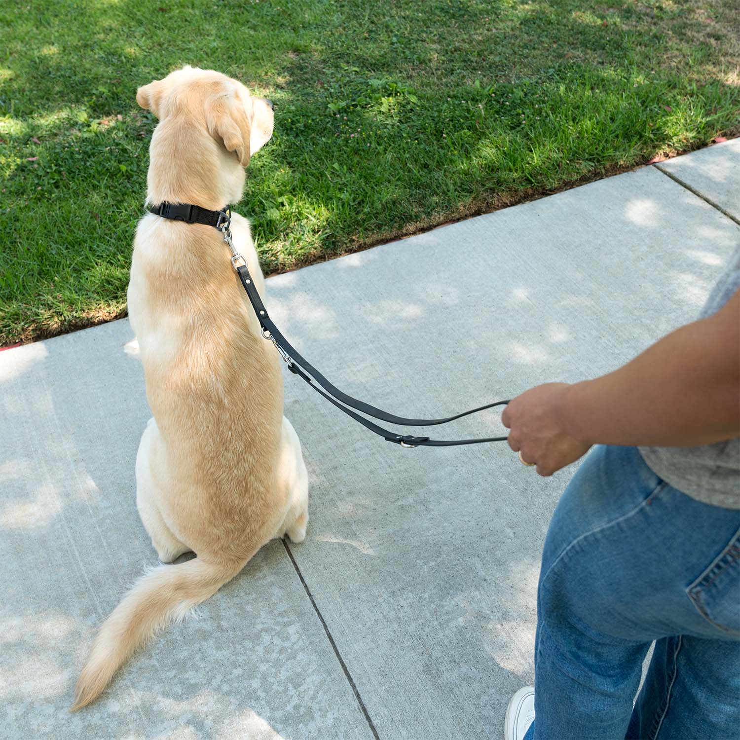 K9 Training⢠Vegan Leather Dog Leash
