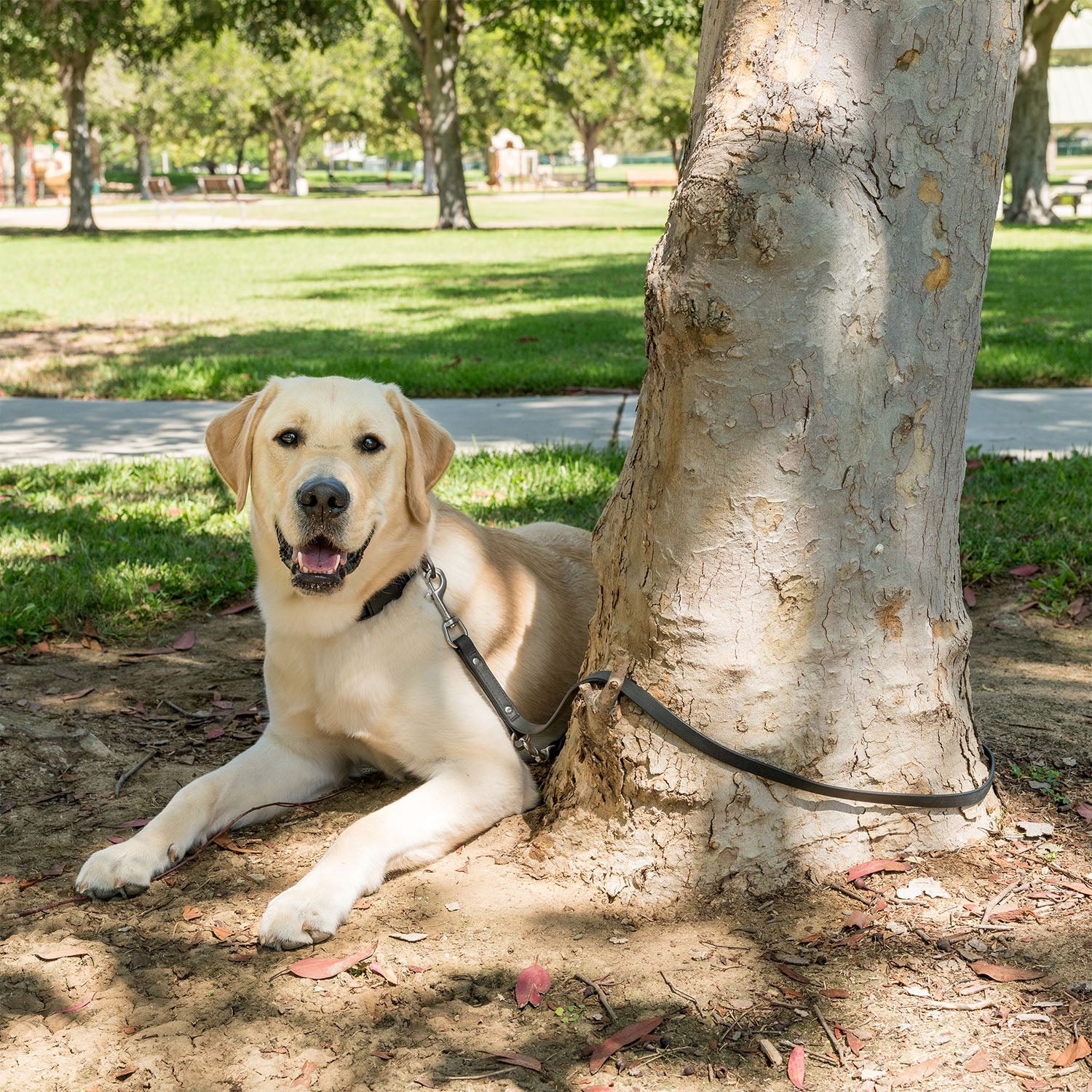 K9 Training⢠Vegan Leather Dog Leash - Image 8