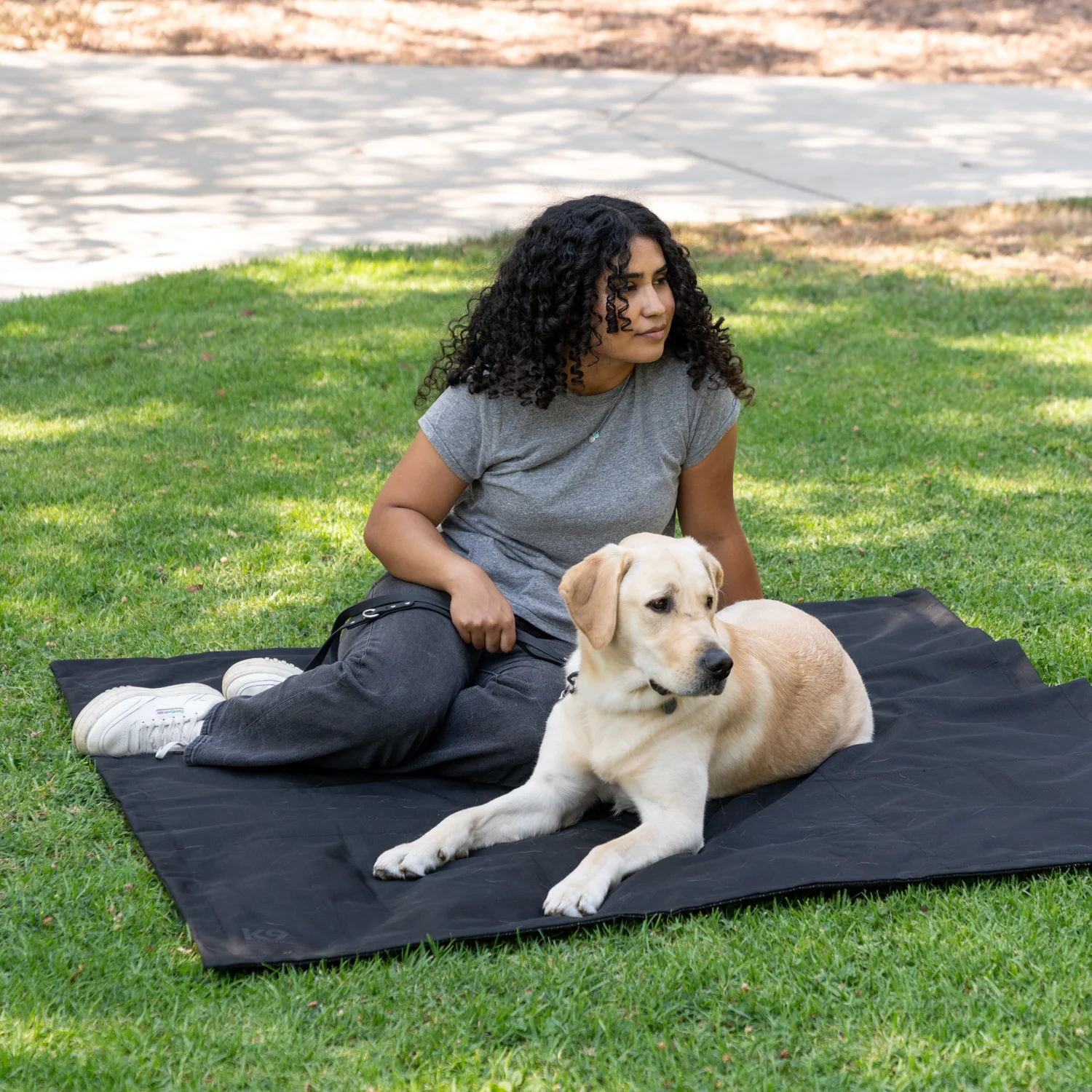Tough Ripstop⢠Portable Dog Tarp - Image 2
