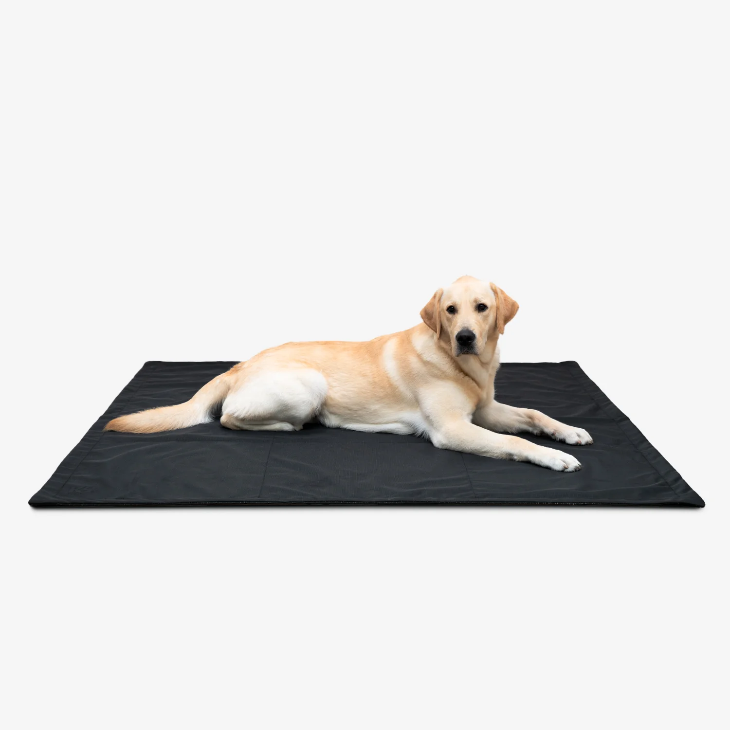 Tough Ripstop⢠Portable Dog Tarp - Image 4