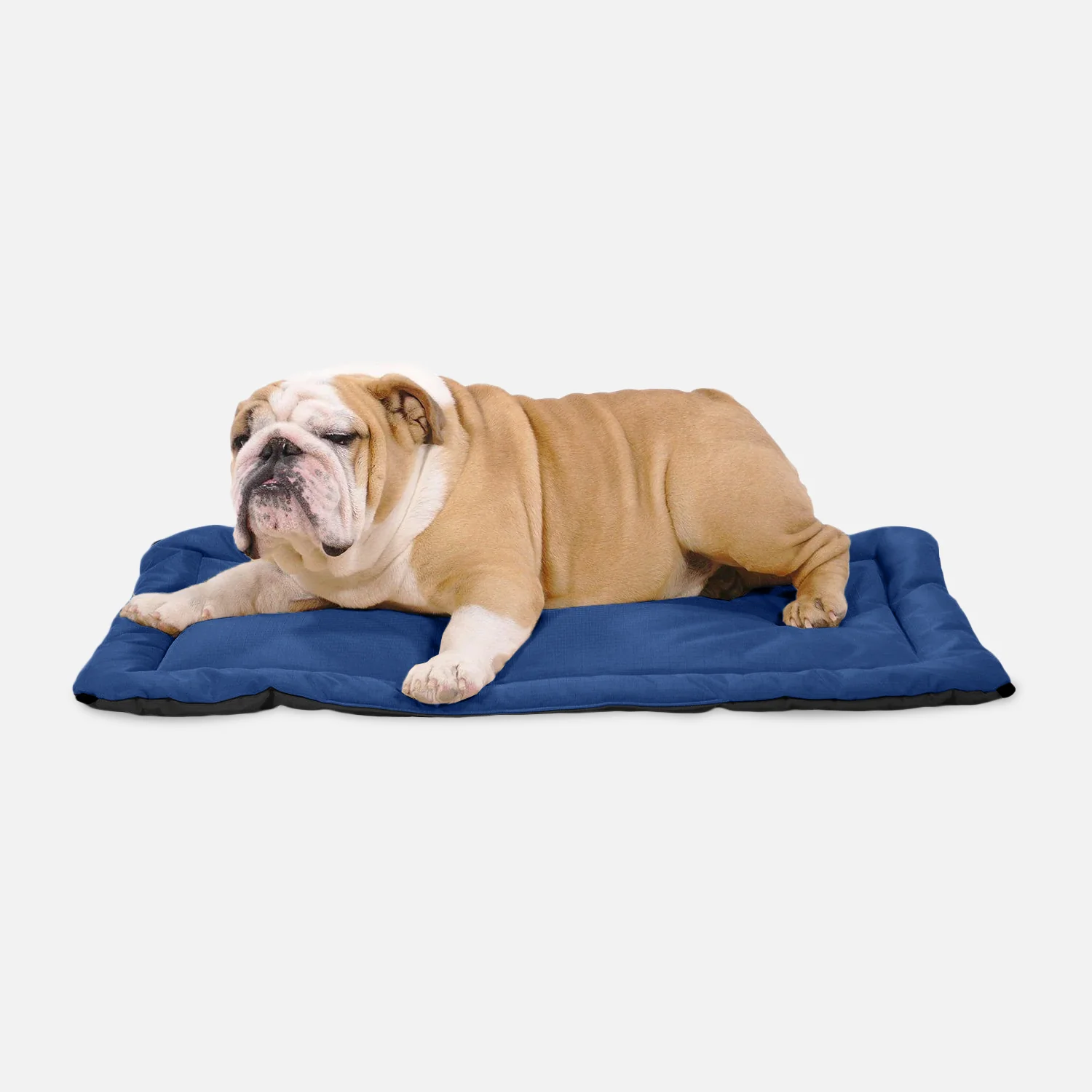 Tough Ripstop™ Dog Crate Pad - Image 15