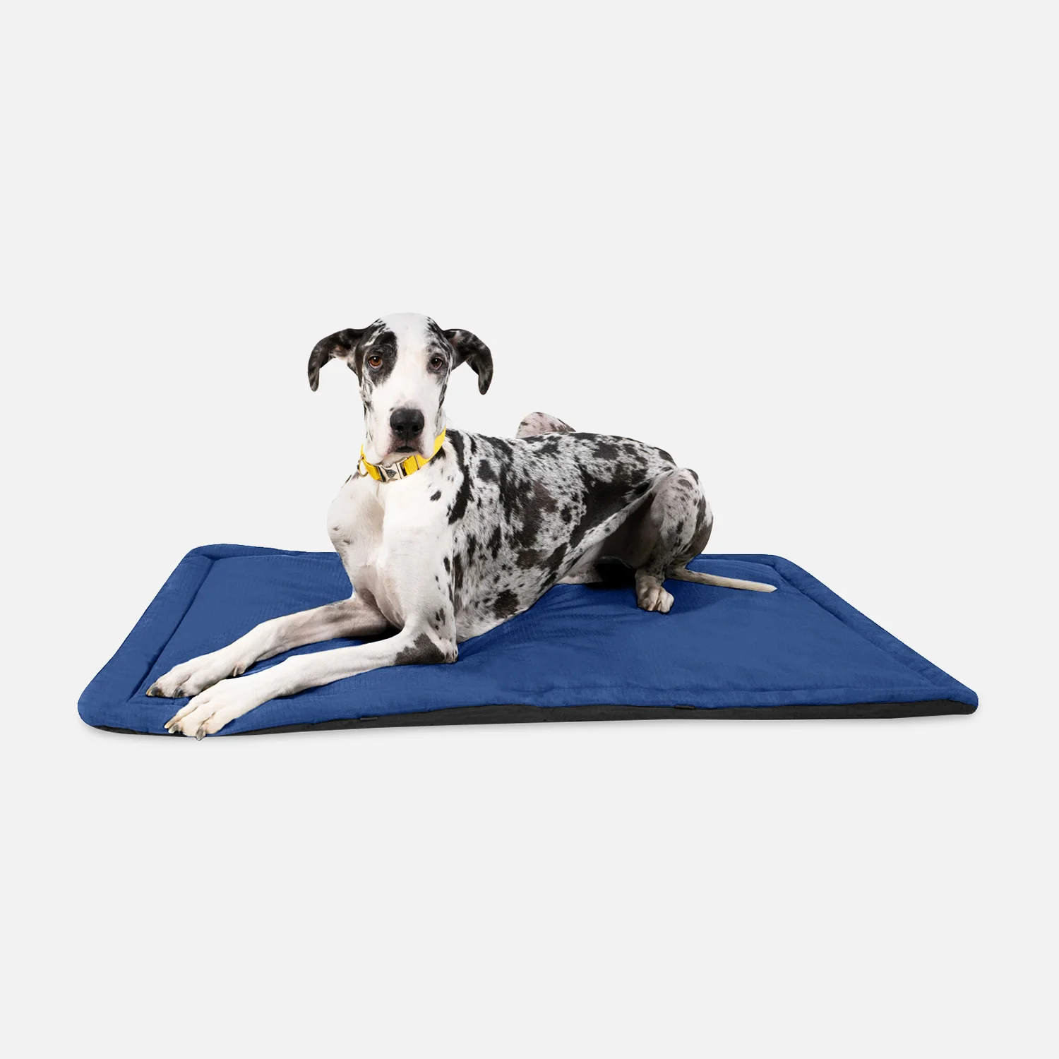 Tough Ripstop™ Dog Crate Pad - Image 18