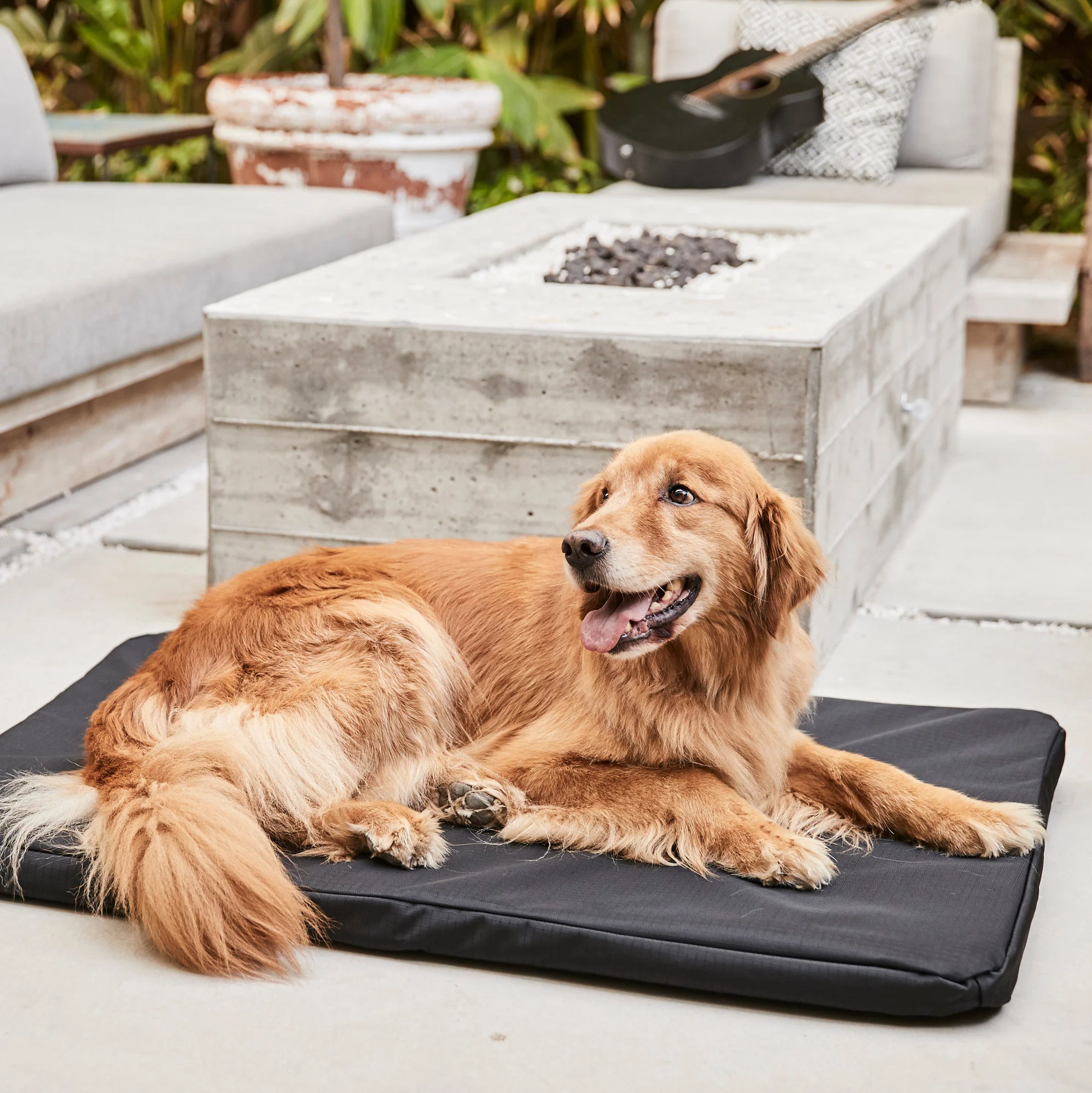 Tough Ripstop™ Orthopedic Dog Crate Bed - Image 19