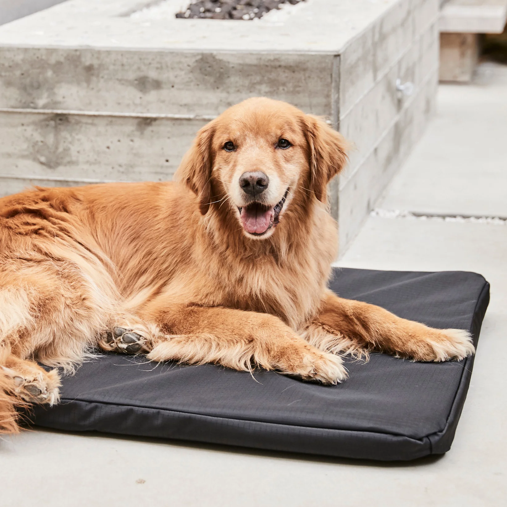 Tough Ripstop™ Orthopedic Dog Crate Bed Cover - Image 7