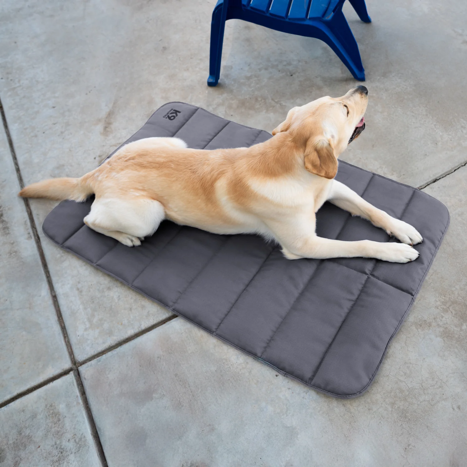 Tough Ripstop™ Dog Travel Mat - Image 3