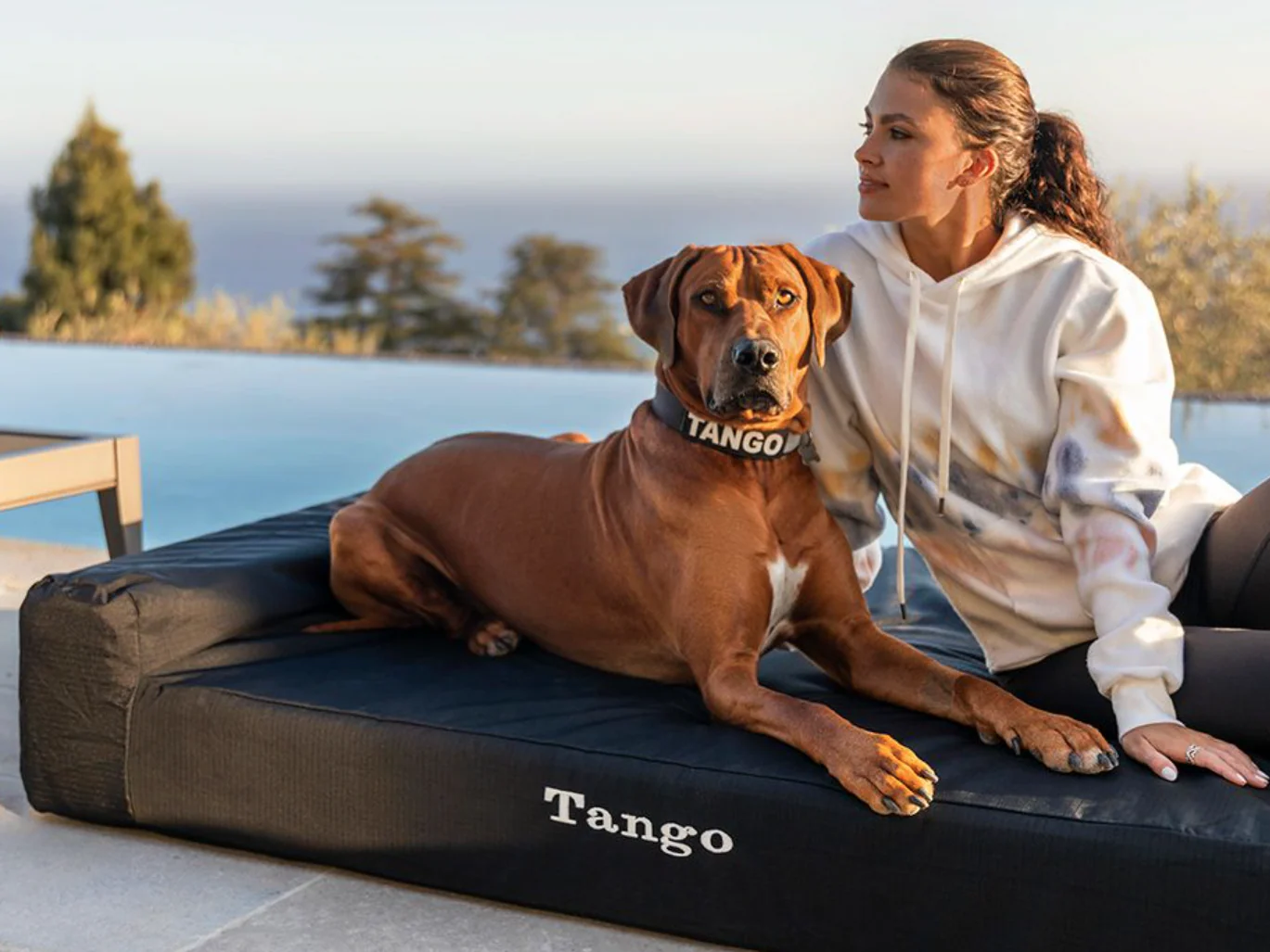 Tough Ripstop⢠Giant 7" Orthopedic Dog Bed Cover (Updated Design) - Image 2