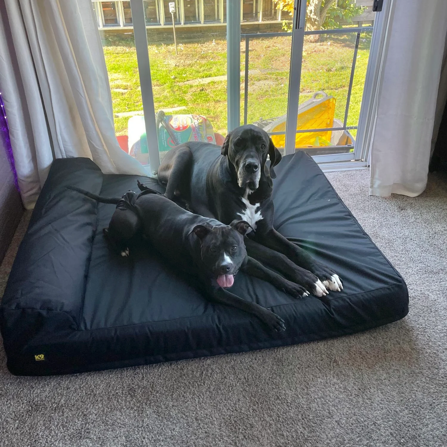 Tough Ripstop⢠Giant 7" Orthopedic Dog Bed - Image 6